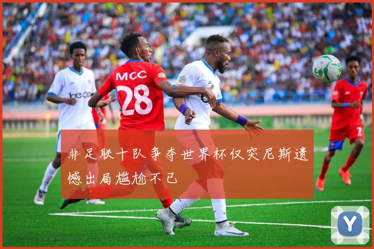 非足联十队争夺世界杯仅突尼斯遗憾出局尴尬不已